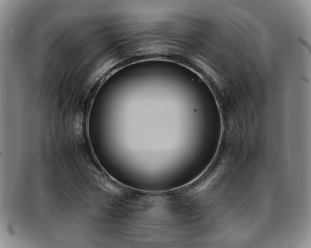 X0000097900778200803141354