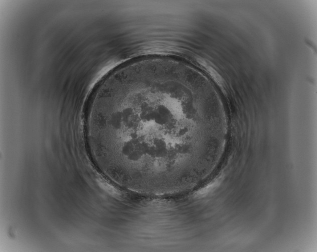 X0000097900779200803141354