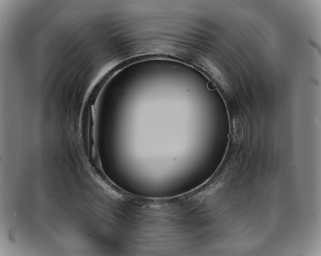 X0000097900780200803141354