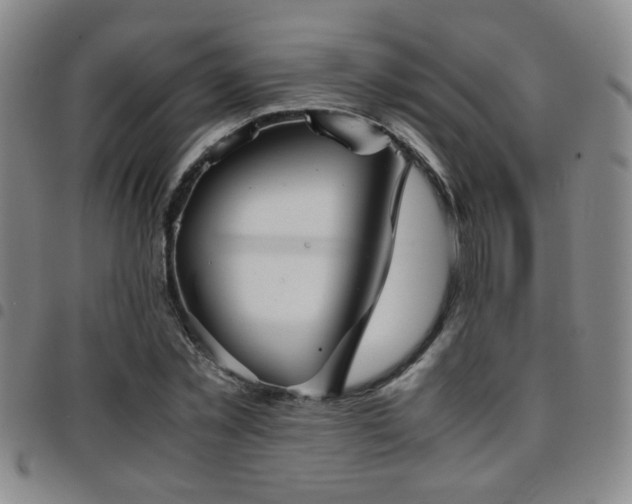 X0000097900781200803141354