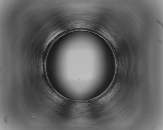 X0000097900782200803141354
