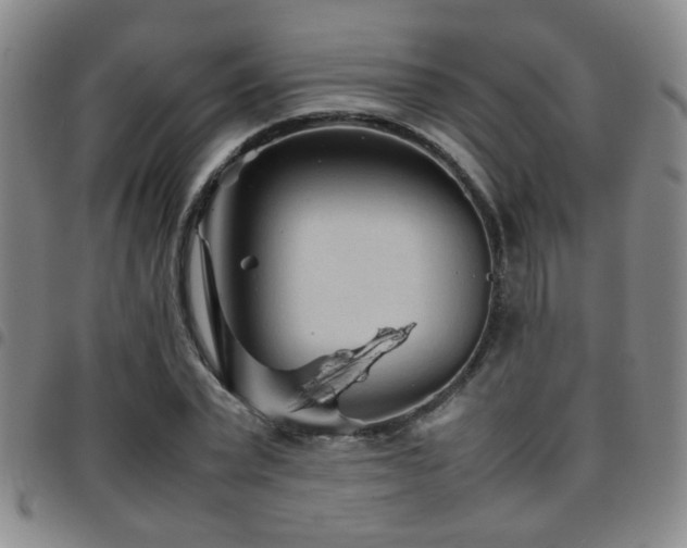 X0000097900783200803141354