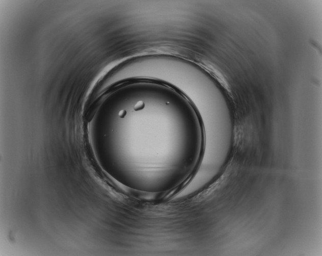X0000097900784200803141354