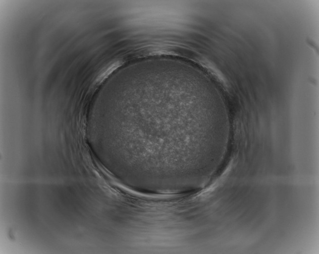 X0000097900785200803141354