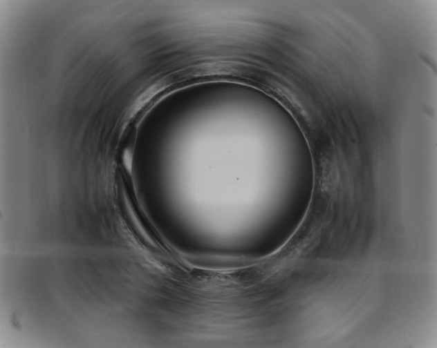 X0000097900786200803141354