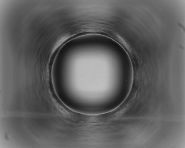 X0000097900787200803141354