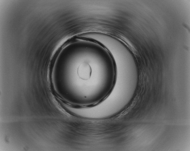 X0000097900788200803141354