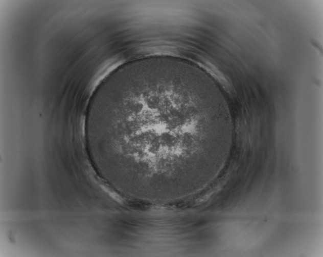 X0000097900790200803141353