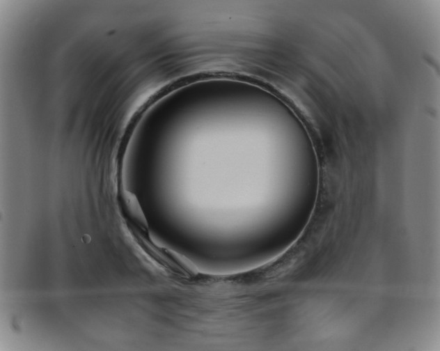 X0000097900791200803141353