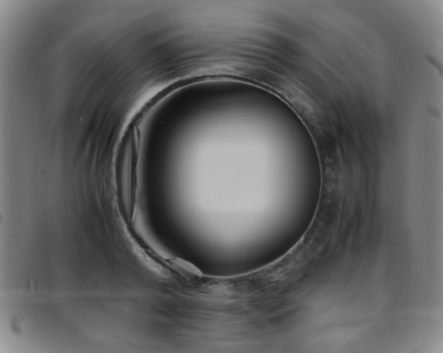 X0000097900792200803141353