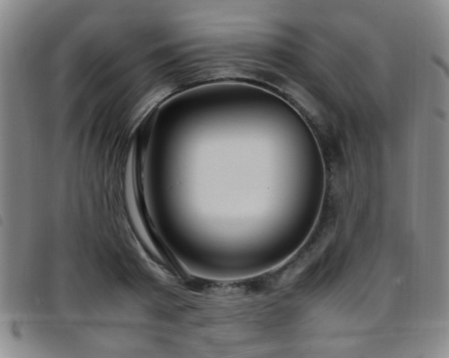 X0000097900793200803141353