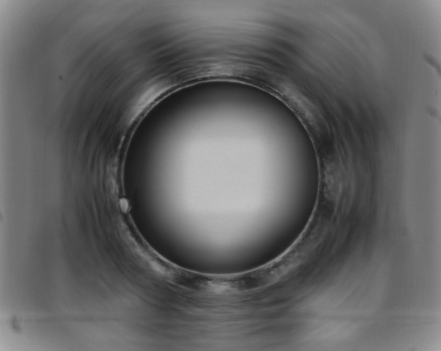 X0000097900794200803141353