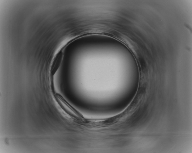 X0000097900795200803141353