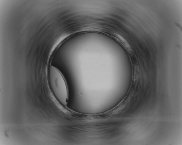 X0000097900796200803141353
