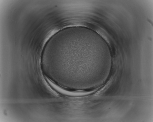 X0000097900797200803141353