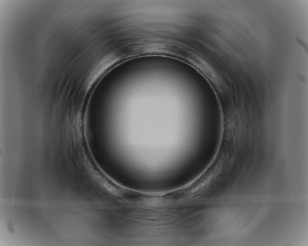 X0000097900798200803141353