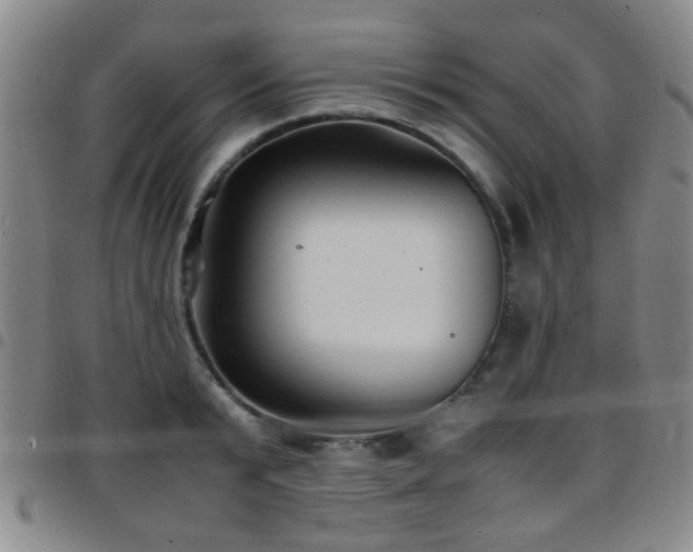 X0000097900799200803141353