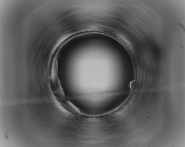 X0000097900800200803141353
