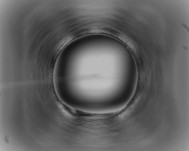 X0000097900801200803141353