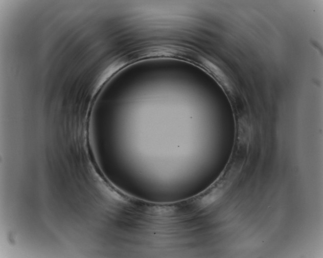 X0000097900802200803141353
