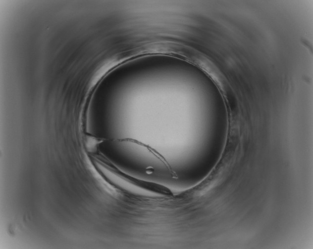 X0000097900803200803141353