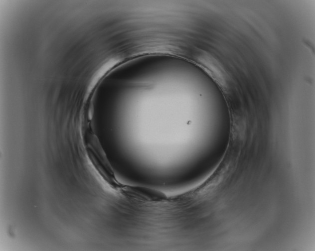 X0000097900804200803141353