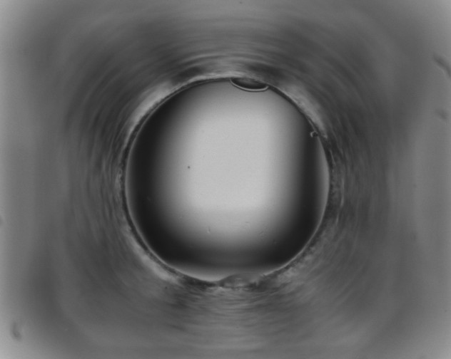 X0000097900805200803141353