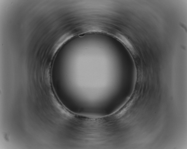 X0000097900806200803141353