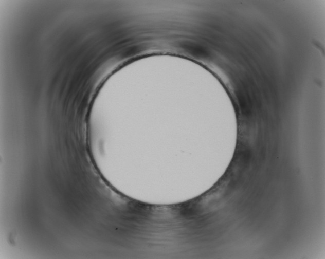 X0000097900807200803141353