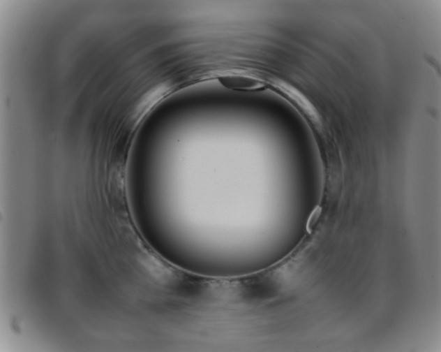 X0000097900809200803141353