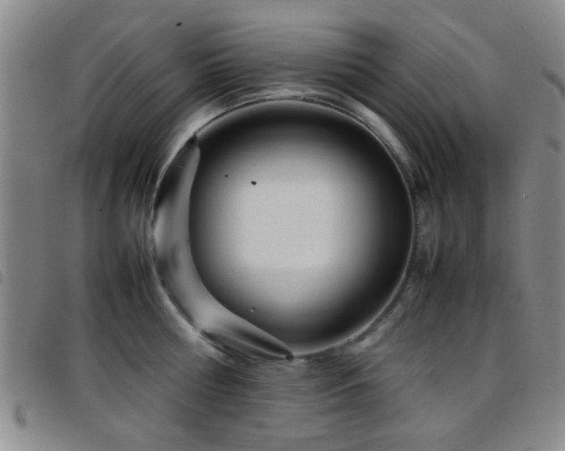 X0000097900810200803141353