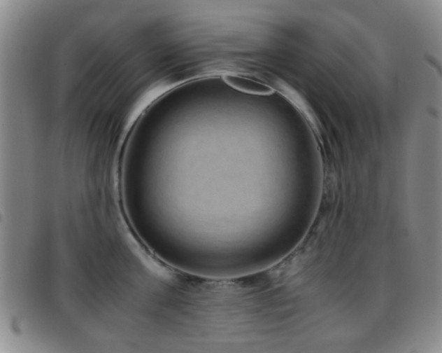 X0000097900811200803141353