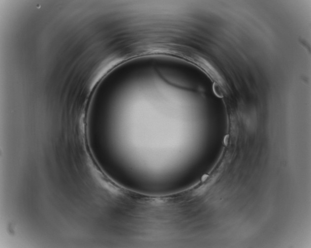 X0000097900814200803141353