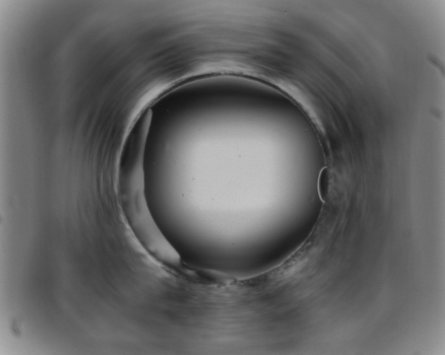 X0000097900815200803141353
