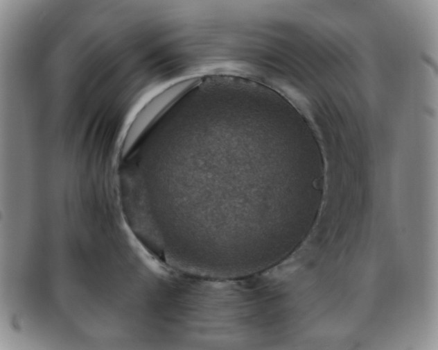 X0000097900816200803141353