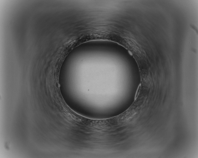 X0000097900817200803141352