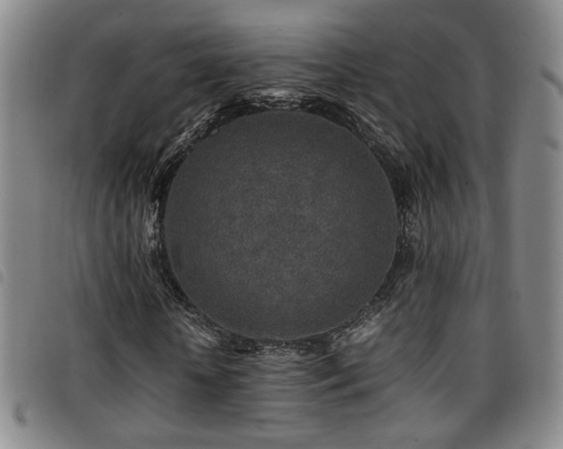X0000097900818200803141352