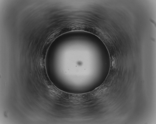 X0000097900819200803141353