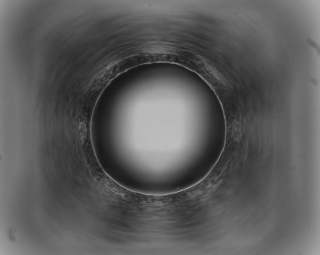 X0000097900821200803141353