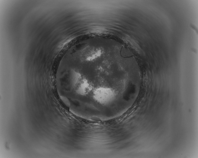 X0000097900822200803141353