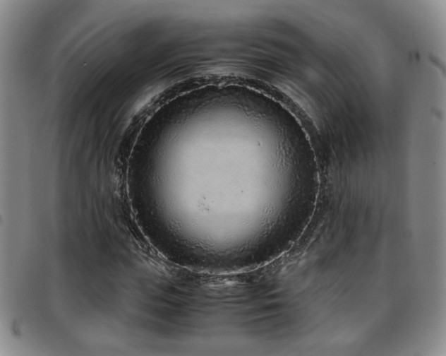 X0000097900823200803141353