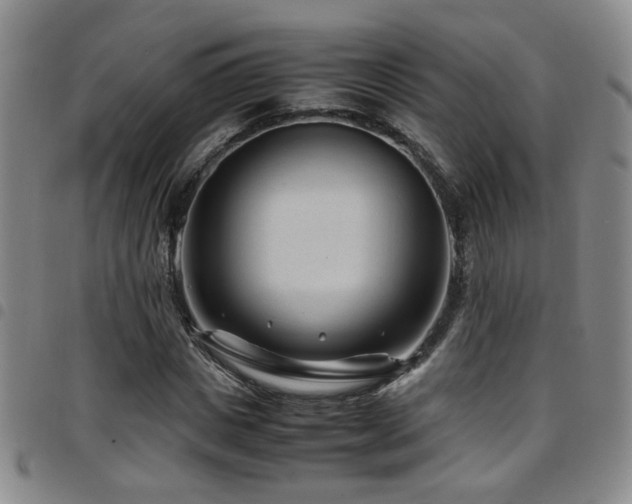 X0000097900825200803141353
