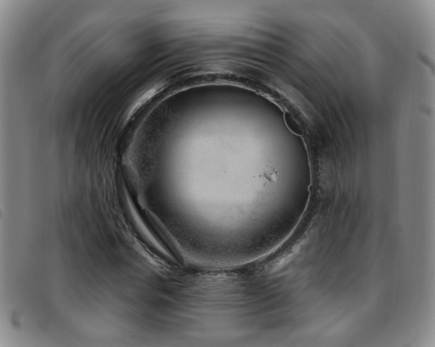 X0000097900826200803141353