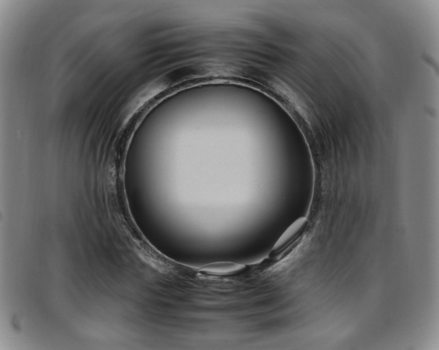 X0000097900827200803141353