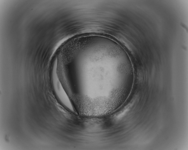 X0000097900830200803141353