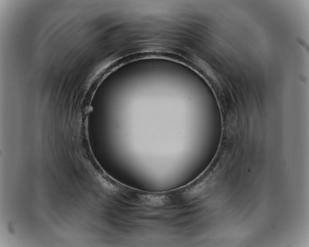 X0000097900831200803141353