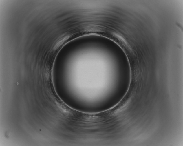 X0000097900833200803141353