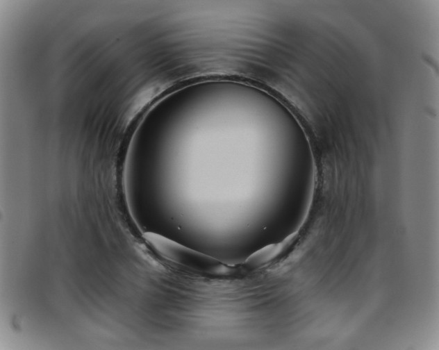 X0000097900834200803141353