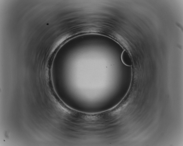 X0000097900835200803141353