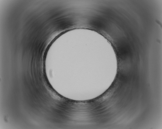 X0000097900836200803141353